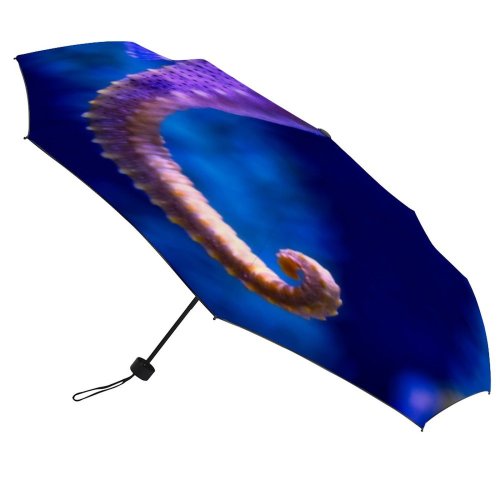 yanfind Umbrella Manual Seashell Internal Beach Starfish Travel Shell Art Coral Space Cute Aquarium Windproof waterproof anti-ultraviolet protection golf umbrella