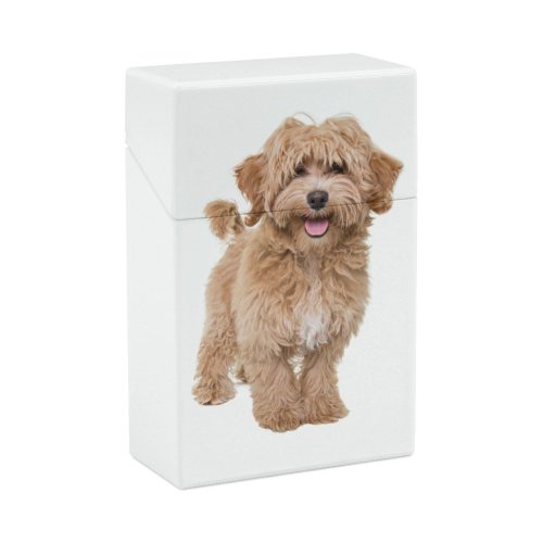 yanfind Cigarette Case Cheerful Dog Happiness Emotion Love Perth Positive Cavalier Studio Young Spaniel Formal Hard Plastic Crushproof Cigarette Case