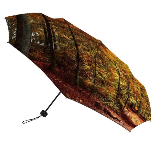 yanfind Umbrella Manual Non Growth Denmark Dark Luxuriant Deciduous Footpath Scandinavia Urban Europe Scene Trunk Windproof waterproof anti-ultraviolet protection golf umbrella