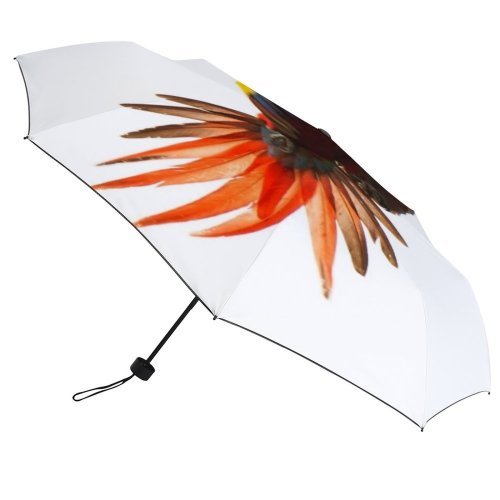 yanfind Umbrella Manual Spread Rainforest Macaw Rica Costa Outdoors Flying Scarlet Windproof waterproof anti-ultraviolet protection golf umbrella