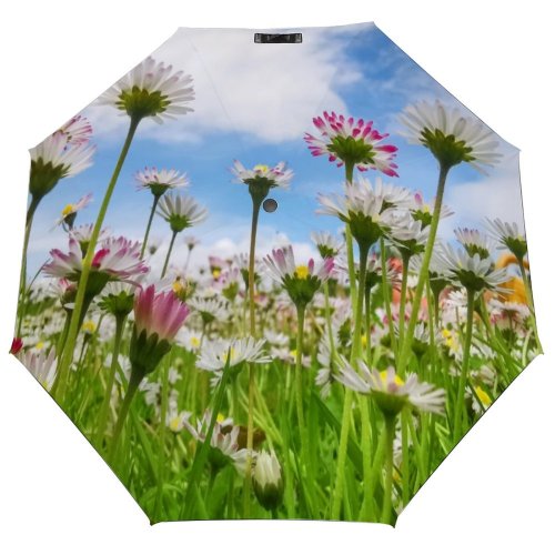 yanfind Umbrella Manual Non Tranquility Growth Rural Living Beauty Scenics Springtime Agricultural Daisy Natural Windproof waterproof anti-ultraviolet protection golf umbrella