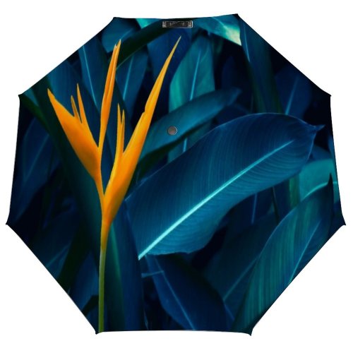 yanfind Umbrella Manual Season Heliconia Plant Art Foliage Abstract Thammarat Growth Nakhon Springtime Tropical Si 001 Windproof waterproof anti-ultraviolet protection golf umbrella