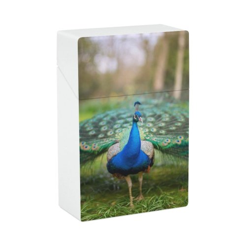 yanfind Cigarette Case Non Pride Turquoise Beauty Vitality Cockerel Tail Feather Bird Urban Vibrant Hard Plastic Crushproof Cigarette Case