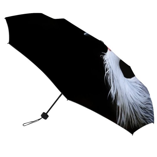 yanfind Umbrella Manual Space Crowned Beauty Dark Night Bird Side Portrait Vibrant Wildlife Grey Windproof waterproof anti-ultraviolet protection golf umbrella