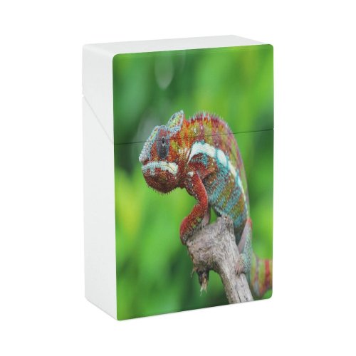 yanfind Cigarette Case Space Beauty Defocused Alertness Wild Side Portrait Wildlife Outdoors Reptile Branch Plant Hard Plastic Crushproof Cigarette Case