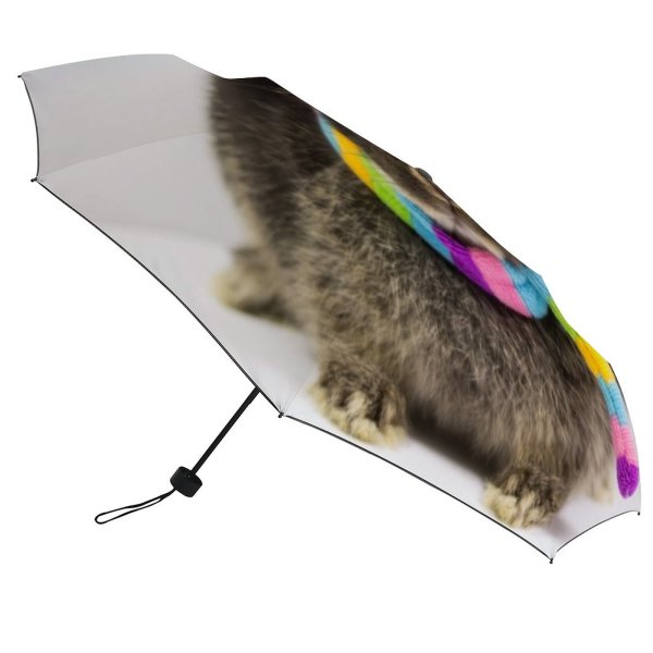 yanfind Umbrella Manual Cute Headwear Crown Social Happiness Asturias Carnival Queen Rainbow Beauty Flag Windproof waterproof anti-ultraviolet protection golf umbrella