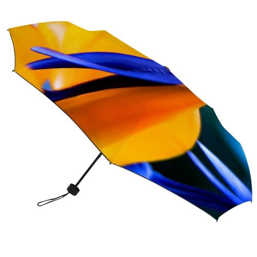 yanfind Umbrella Manual Botany Leaf Living Beauty Fragility Defocused Paradise County Exoticism Diego Foreground Windproof waterproof anti-ultraviolet protection golf umbrella