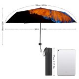 yanfind Umbrella Manual Fish Wing Beauty Sea Damselfish Wildlife Bangkok Aquarium Goldfish Motion Windproof waterproof anti-ultraviolet protection golf umbrella