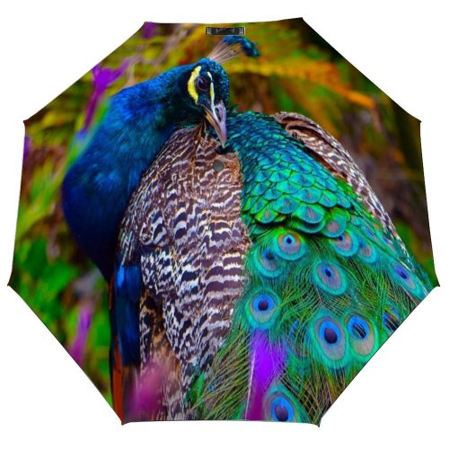 yanfind Umbrella Manual Beauty Bird Focus Outdoors Foreground Windproof waterproof anti-ultraviolet protection golf umbrella