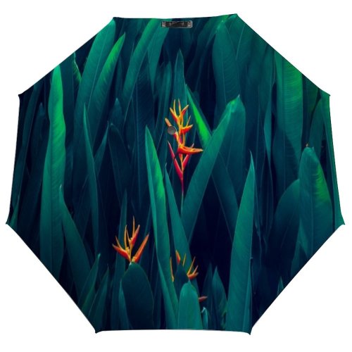 yanfind Umbrella Manual Season Heliconia Plant Art Foliage Abstract Thammarat Growth Nakhon Springtime Tropical Si 002 Windproof waterproof anti-ultraviolet protection golf umbrella
