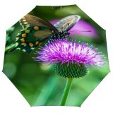 yanfind Umbrella Manual Texas Coast States America Plant Outdoors Saturated Pollination Flying Americas Feeding Windproof waterproof anti-ultraviolet protection golf umbrella