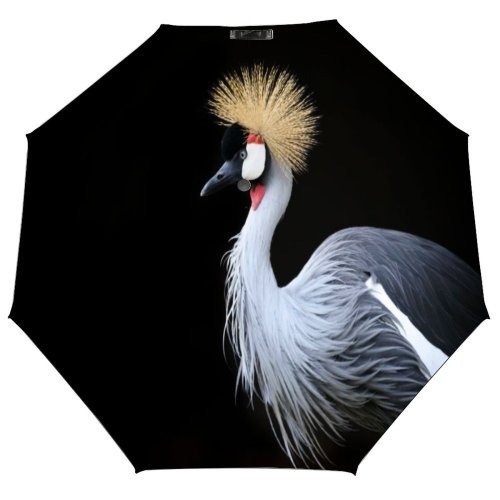 yanfind Umbrella Manual Space Crowned Beauty Dark Night Bird Side Portrait Vibrant Wildlife Grey Windproof waterproof anti-ultraviolet protection golf umbrella