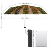 yanfind Umbrella Manual Sky Natural Farm Furano Season Rural Scene Parkland Basin Plant Scenics Travel Windproof waterproof anti-ultraviolet protection golf umbrella