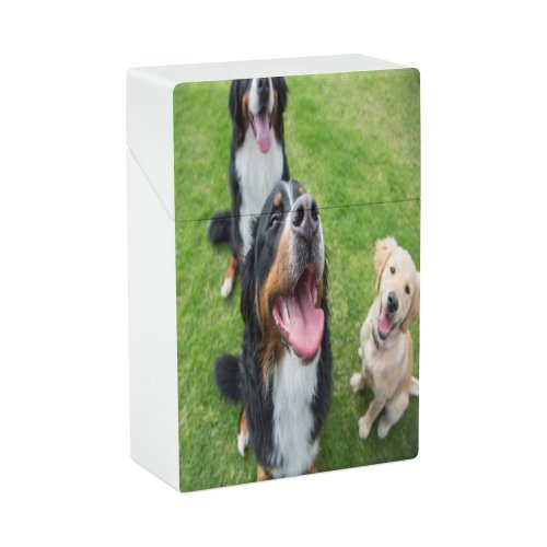 yanfind Cigarette Case Cheerful Fun Dog Happiness Outdoors Park Playing Joy Cute Australia Grass Hard Plastic Crushproof Cigarette Case