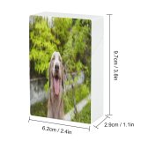 yanfind Cigarette Case Sticking Dog Happiness Outdoors Growth Focus Grass Tree Eyes Panting Weimaraner Hard Plastic Crushproof Cigarette Case