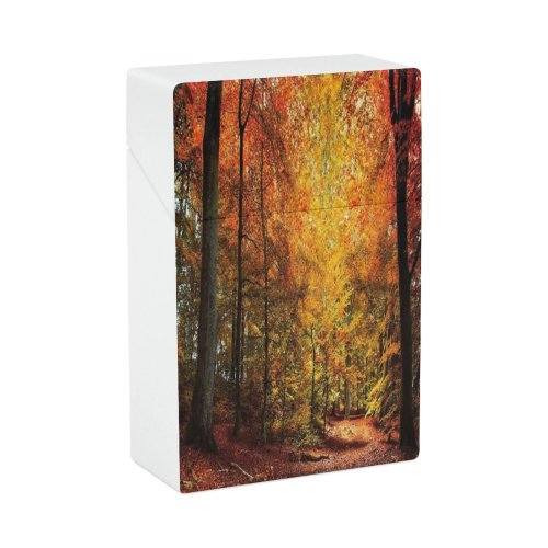 yanfind Cigarette Case Non Growth Denmark Dark Luxuriant Deciduous Footpath Scandinavia Urban Europe Scene Trunk Hard Plastic Crushproof Cigarette Case