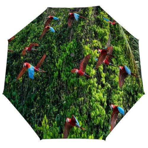 yanfind Umbrella Manual Non Tree Amazon Beauty Awe Region Flock Bird Rainforest Foliage Wild Birds Windproof waterproof anti-ultraviolet protection golf umbrella