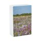 yanfind Cigarette Case Space Africa Tranquility Growth Idyllic Rural Beauty Springtime Scenics Agricultural Field Scenery Hard Plastic Crushproof Cigarette Case
