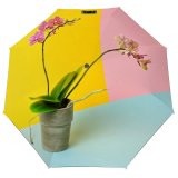 yanfind Umbrella Manual Space Studio Block Bloom Shot Vibrant Pot Orchid Houseplant Pastel USA Flower Windproof waterproof anti-ultraviolet protection golf umbrella