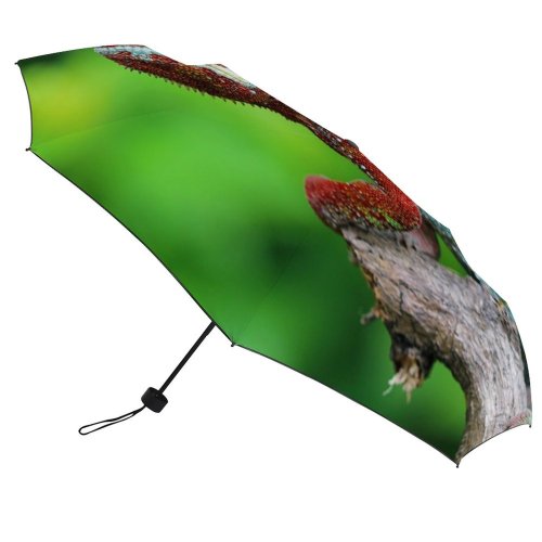 yanfind Umbrella Manual Space Beauty Defocused Alertness Wild Side Portrait Wildlife Outdoors Reptile Branch Plant Windproof waterproof anti-ultraviolet protection golf umbrella