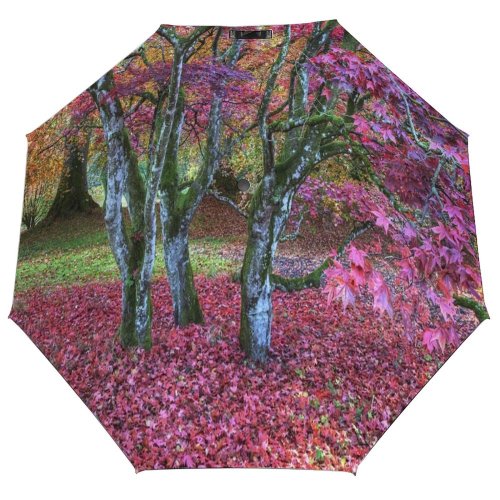 yanfind Umbrella Manual Non Growth Rural Tree Leaf Beauty Scenics Autumn Scotland Urban Scenery Windproof waterproof anti-ultraviolet protection golf umbrella