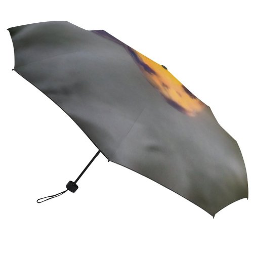 yanfind Umbrella Manual Space Enjoyment Non Relaxation Tranquility Japanese Fish Living Beauty Carp Underwater Australia Windproof waterproof anti-ultraviolet protection golf umbrella