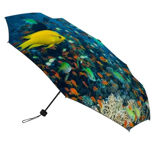 yanfind Umbrella Manual Wrasse Klunzinger's Lyre Chromis Anthias Awe Scenics Outdoors Relaxation Abundance Tail Coral Windproof waterproof anti-ultraviolet protection golf umbrella