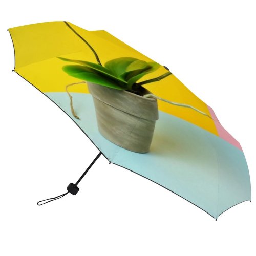 yanfind Umbrella Manual Space Studio Block Bloom Shot Vibrant Pot Orchid Houseplant Pastel USA Flower Windproof waterproof anti-ultraviolet protection golf umbrella