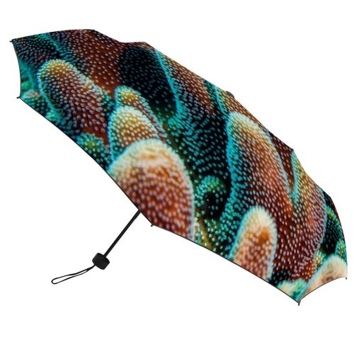 yanfind Umbrella Manual Coral Undersea Zanzibar Hard Beauty Sea Natural Underwater Seascape Ocean Tropical Tanzania Windproof waterproof anti-ultraviolet protection golf umbrella