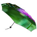 yanfind Umbrella Manual Texas Coast States America Plant Outdoors Saturated Pollination Flying Americas Feeding Windproof waterproof anti-ultraviolet protection golf umbrella
