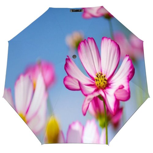 yanfind Umbrella Manual Osaka Beauty Suita Sky Cosmos Prefecture Japan Plant Flower Windproof waterproof anti-ultraviolet protection golf umbrella