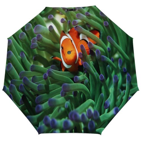 yanfind Umbrella Manual FALSE Sheltering Fish Coral Undersea Anemone Relationship Sea Underwater Wild Tropical Clown Windproof waterproof anti-ultraviolet protection golf umbrella
