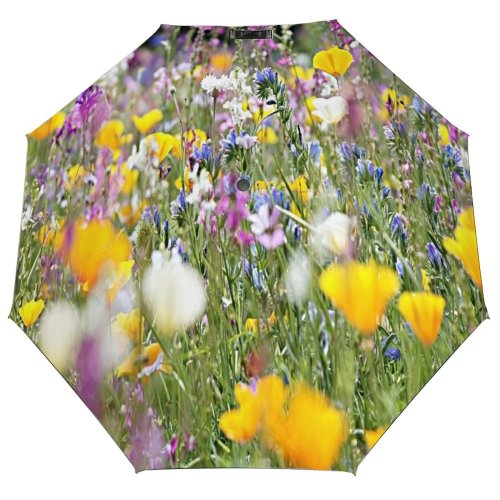 yanfind Umbrella Manual Non Beauty Urban Focus Scene Sunlight Outdoors Wildflower Meadow Abundance Selective Flower Windproof waterproof anti-ultraviolet protection golf umbrella