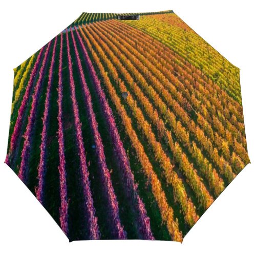 yanfind Umbrella Manual Agriculture Rural Leaf Atmosphere Travel High Aerial Autumn Footpath Scenery Windproof waterproof anti-ultraviolet protection golf umbrella