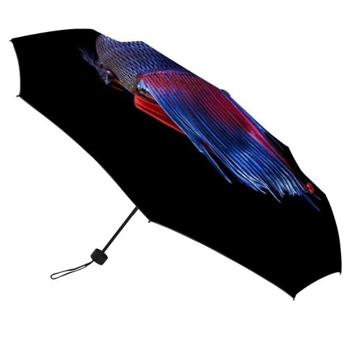 yanfind Umbrella Manual Skin Studio Fish Beauty Iridescent Fin Shot Siamese Vibrant Wildlife UK Fighting Windproof waterproof anti-ultraviolet protection golf umbrella