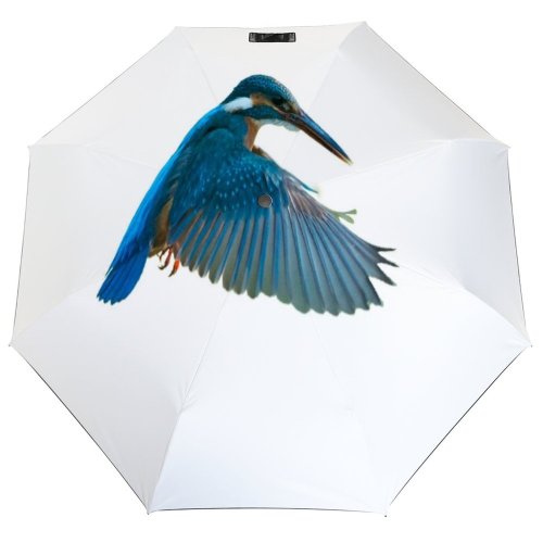 yanfind Umbrella Manual Cute Fish Wing Perfection Beauty Awe Ornithology Feather Bird East Hovering Beak Windproof waterproof anti-ultraviolet protection golf umbrella