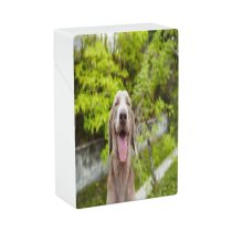 yanfind Cigarette Case Sticking Dog Happiness Outdoors Growth Focus Grass Tree Eyes Panting Weimaraner Hard Plastic Crushproof Cigarette Case