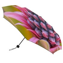 yanfind Umbrella Manual Pastel Freshness Healthy Plant Fruit Outdoors Growth Tropical Beauty Pineapple Flower Windproof waterproof anti-ultraviolet protection golf umbrella