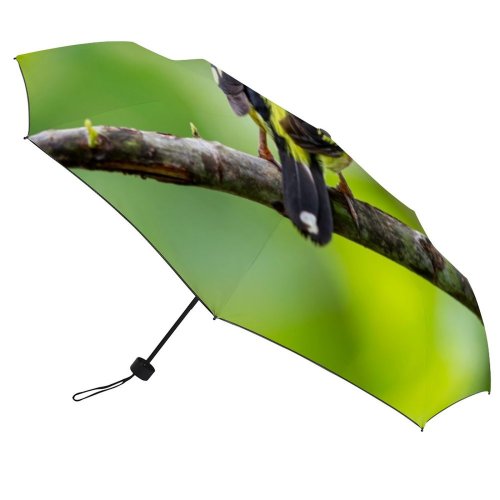 yanfind Umbrella Manual Cute Social Stage Perching Wing Throat Tree Issues Beauty Awe Fragility Wilderness Windproof waterproof anti-ultraviolet protection golf umbrella