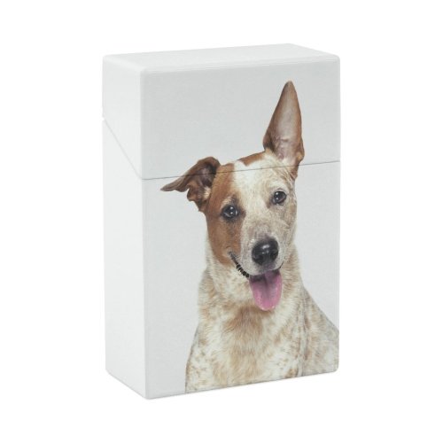yanfind Cigarette Case Cheerful Dog Studio Camera City USA Cute Shot Panting Smiling York Hard Plastic Crushproof Cigarette Case