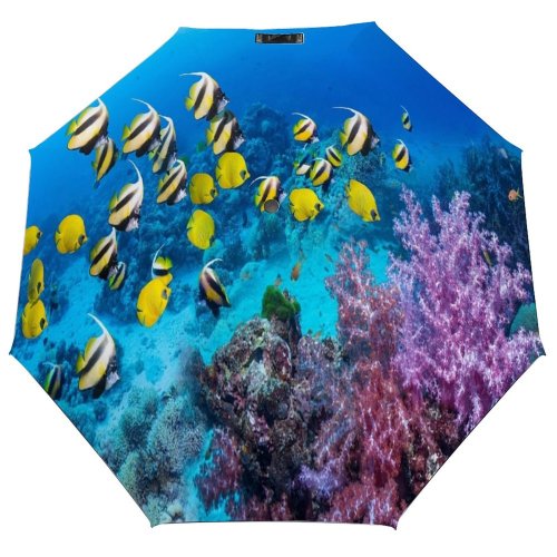 yanfind Umbrella Manual Togetherness Scene Ecosystem Alcyonarian Outdoors Coral Egypt Soft Tranquil Fish Cnidarian Windproof waterproof anti-ultraviolet protection golf umbrella