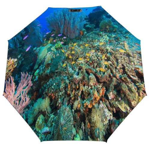 yanfind Umbrella Manual Sponge Fish Coral Undersea Ecosystem Blurred Sea Uneven Underwater School Wild Side Windproof waterproof anti-ultraviolet protection golf umbrella