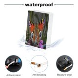 yanfind Cigarette Case Finland Focus Butterfly Wildlife Outdoors Foreground Insect Hard Plastic Crushproof Cigarette Case