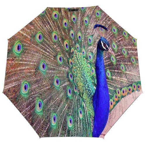 yanfind Umbrella Manual Pride Beauty England Feather Bird Fanned Vibrant London Exhibition Wildlife Summer Windproof waterproof anti-ultraviolet protection golf umbrella