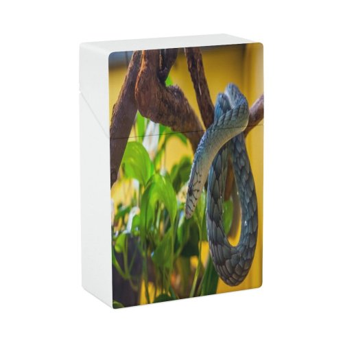 yanfind Cigarette Case Skin Stage Lizard Rough Crocodile Captivity Slovenia Wildlife Scale Abstract Terrarium Hard Plastic Crushproof Cigarette Case