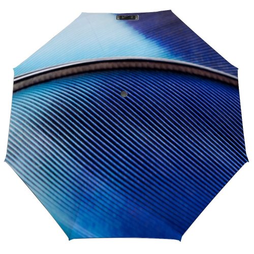 yanfind Umbrella Manual Simplicity Kingfisher Purity China Feather Focus Beauty Still Shot East Studio Windproof waterproof anti-ultraviolet protection golf umbrella