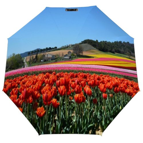 yanfind Umbrella Manual Landscaped Non D'Azur Agriculture Growth Rural Place Union Provence Beauty Journey April Windproof waterproof anti-ultraviolet protection golf umbrella