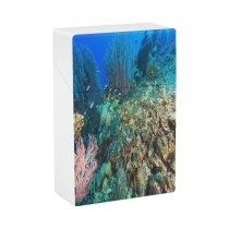 yanfind Cigarette Case Sponge Fish Coral Undersea Ecosystem Blurred Sea Uneven Underwater School Wild Side Hard Plastic Crushproof Cigarette Case