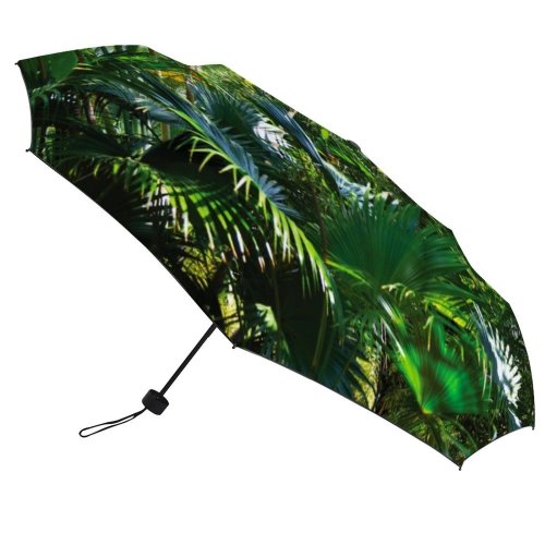 yanfind Umbrella Manual Saturated Garden Ornamental Decorative Beauty Springtime India Rainforest Flowering Tropical Windproof waterproof anti-ultraviolet protection golf umbrella
