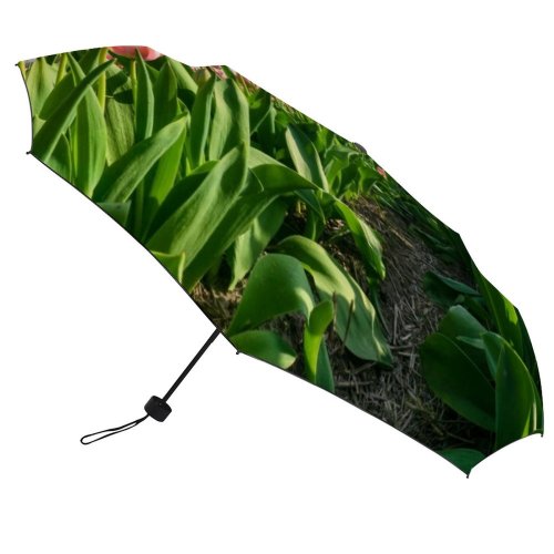 yanfind Umbrella Manual Landscaped Garden Non Agriculture Growth Rural Dutch Ornamental Windmill Beauty Travel Scenics Windproof waterproof anti-ultraviolet protection golf umbrella